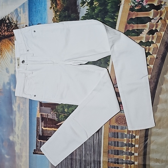 Madewell High Rise Skinny Jeans Size 27 NWT - Picture 2 of 8